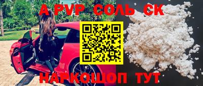 СК Камышлов