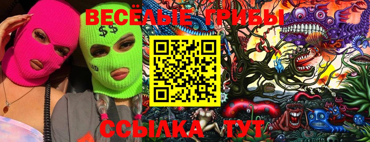 Псилоцибиновые грибы Cubensis Армавир