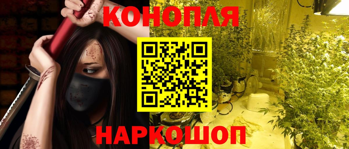 Канабис OG Kush Армавир
